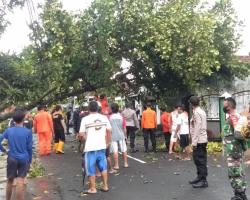 HUJAN DISERTAI ANGIN KENCANG, BEBE